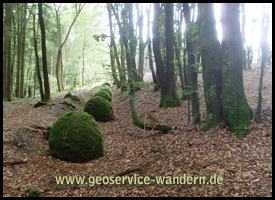 Waldidylle